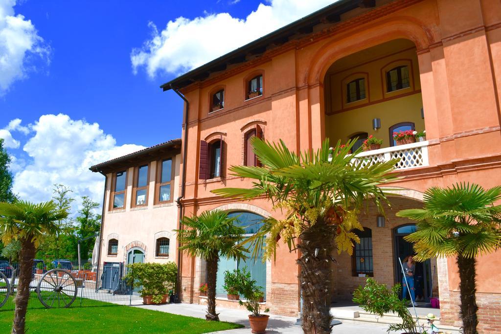 Baco Da Seta